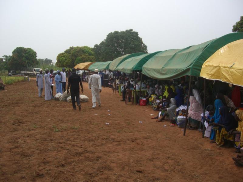 Mass field day begins